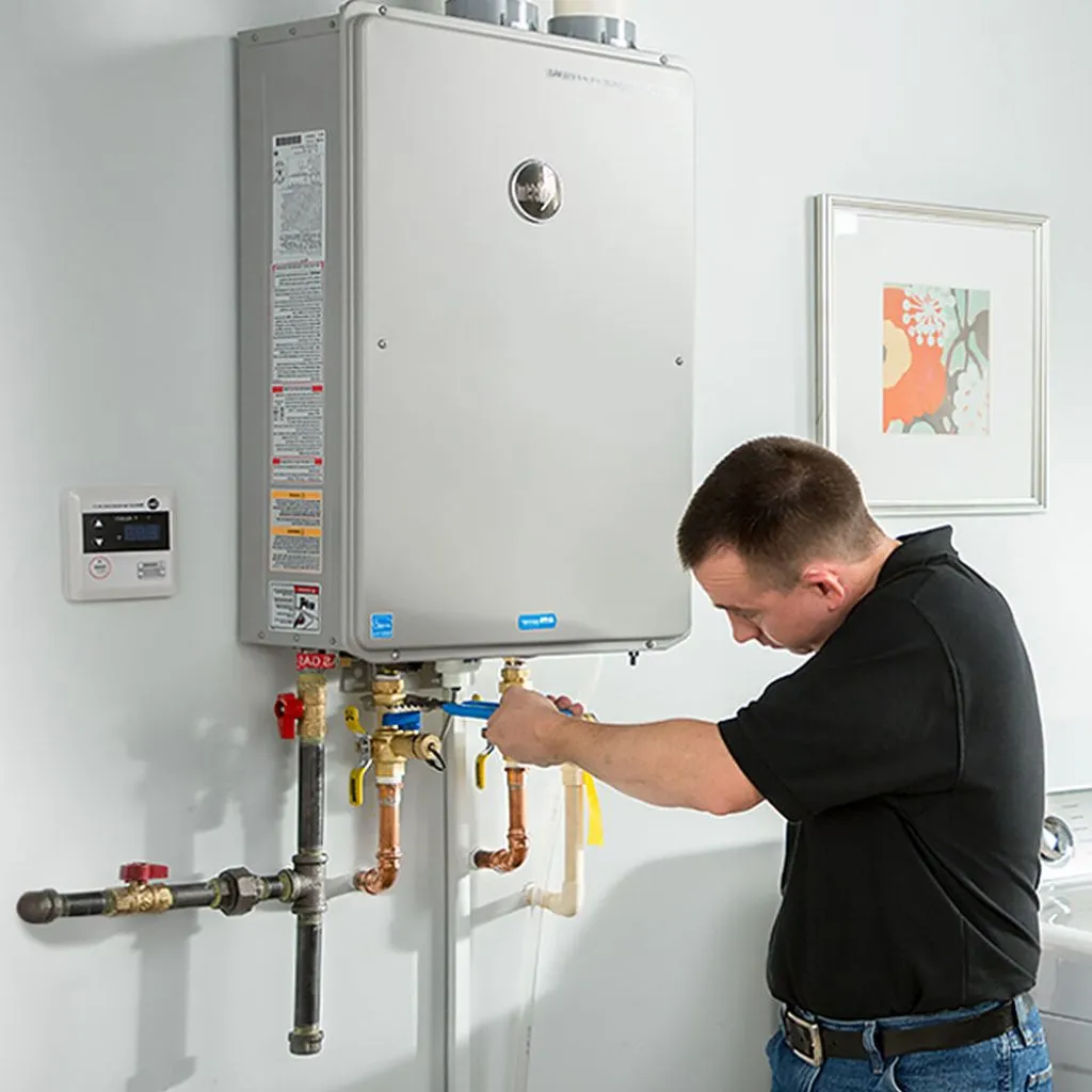 tankless water heater repair in Beecher city, IL